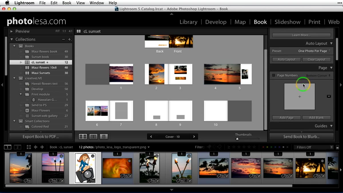 Book Settings panel showing 10x8 inch size option