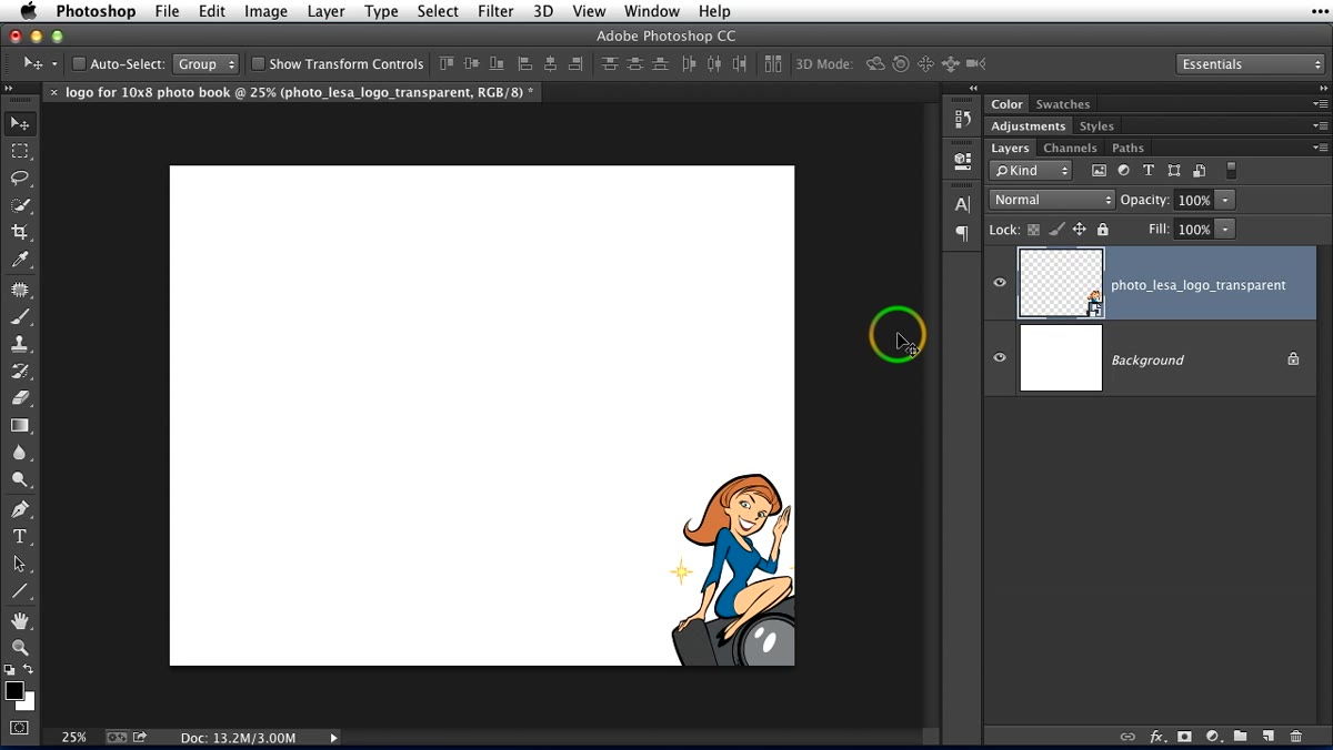 Lightroom Background panel with opacity slider visible