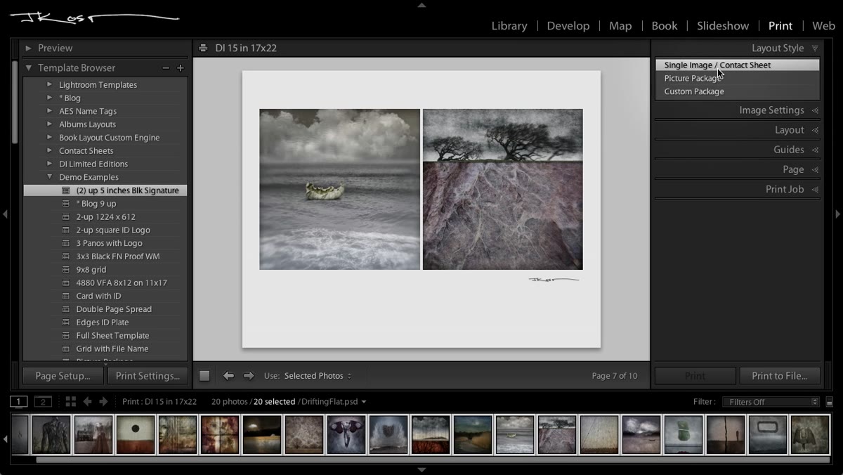 Layout Style panel showing Single Image/Contact Sheet option selected