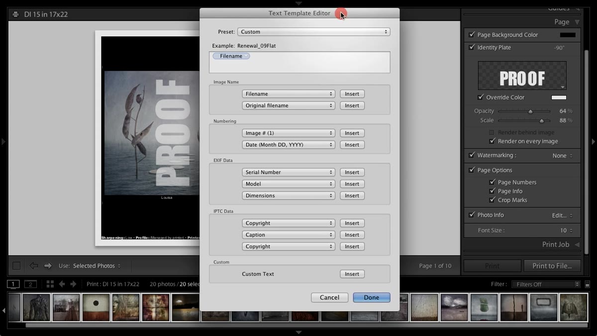 Custom text fields in Page panel with filename and EXIF options selected