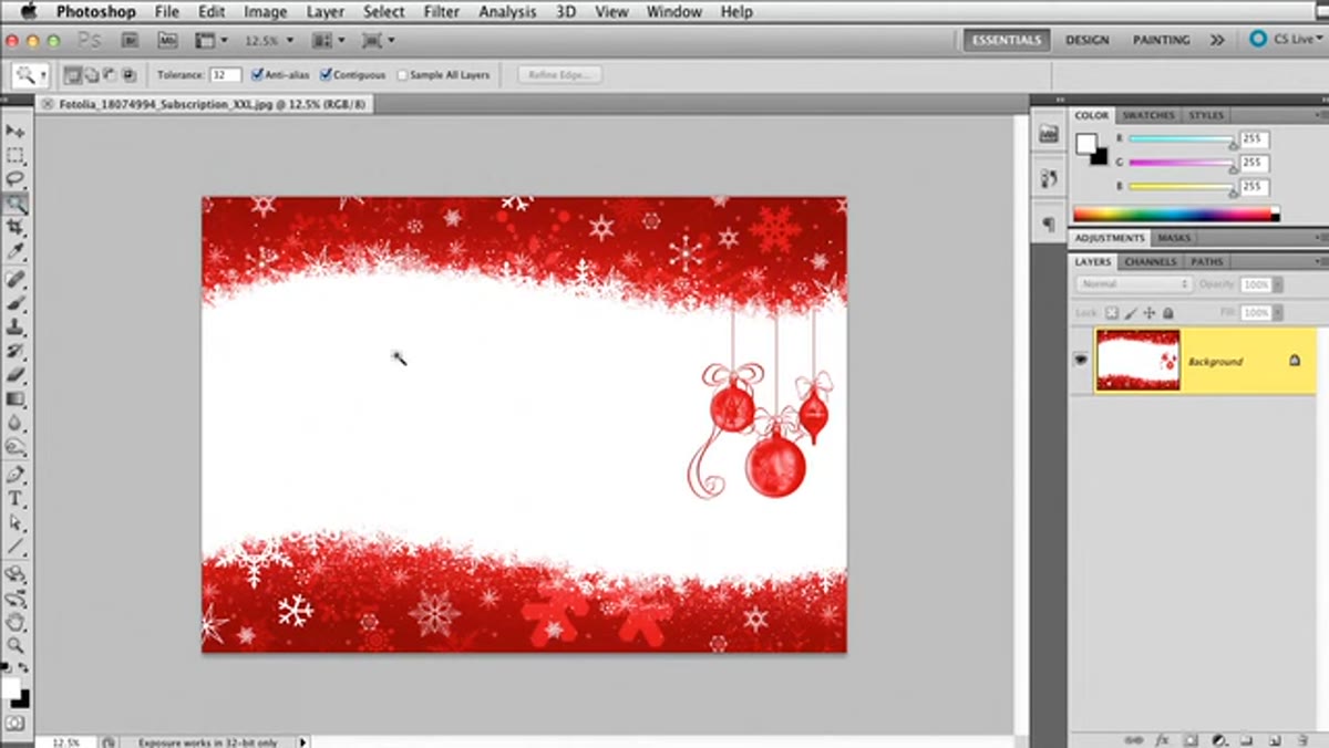 Magic Wand tool clicking the white background area