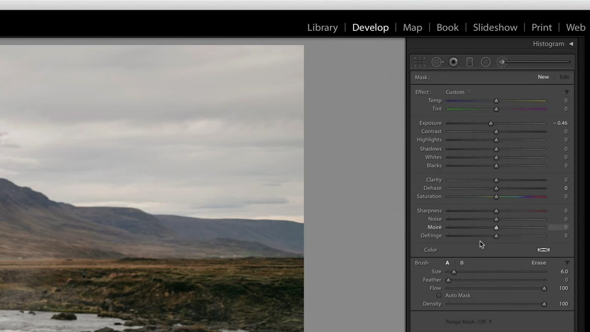 Adjustment brush tool selected in Lightroom develop module