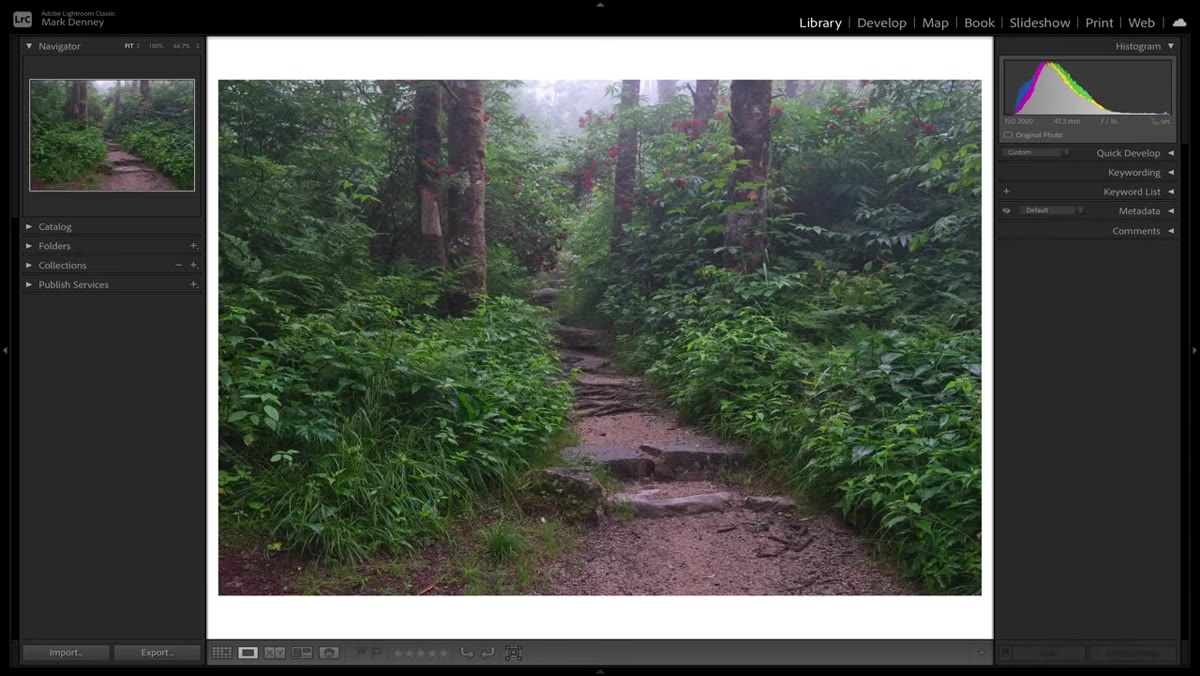 Raw file and final edit displayed side by side in Lightroom