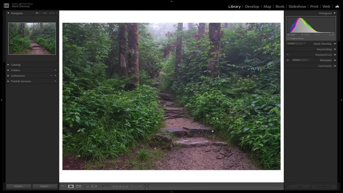 Masking panel open with path area selected in Lightroom