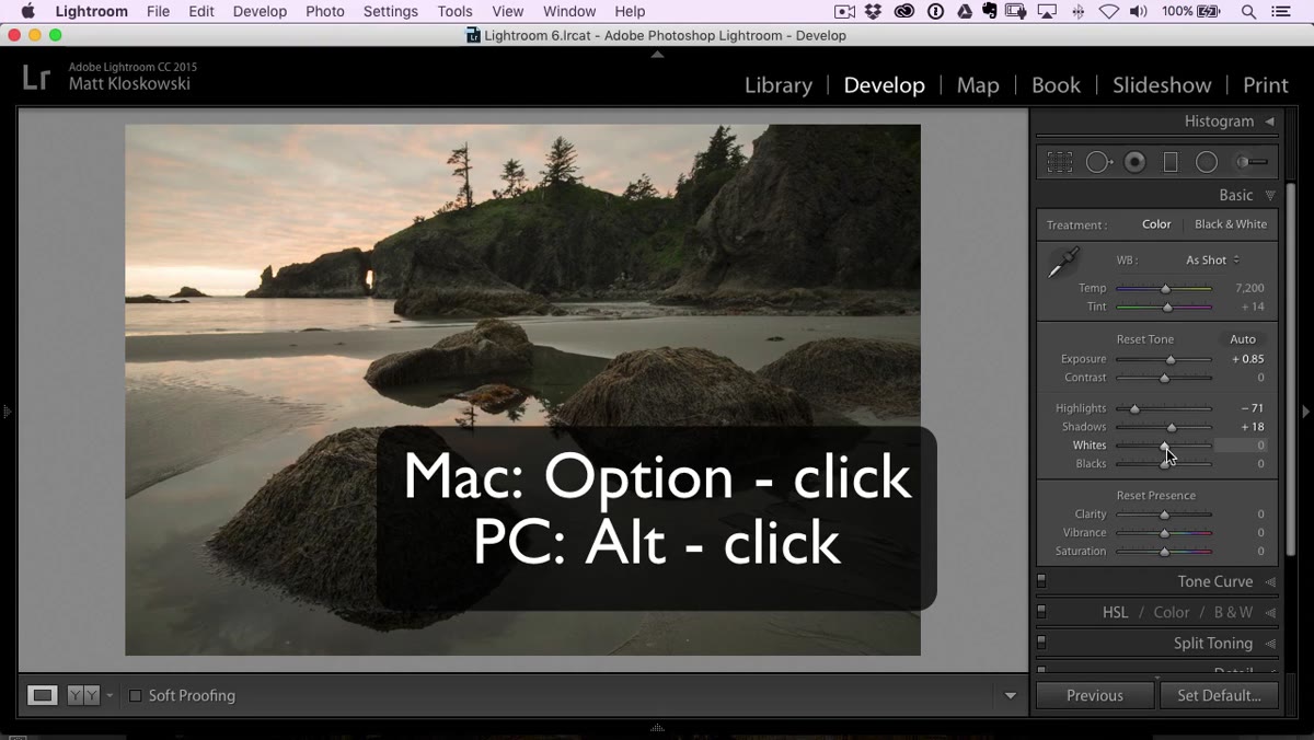 Alt-click on Whites showing blown highlight clipping overlay