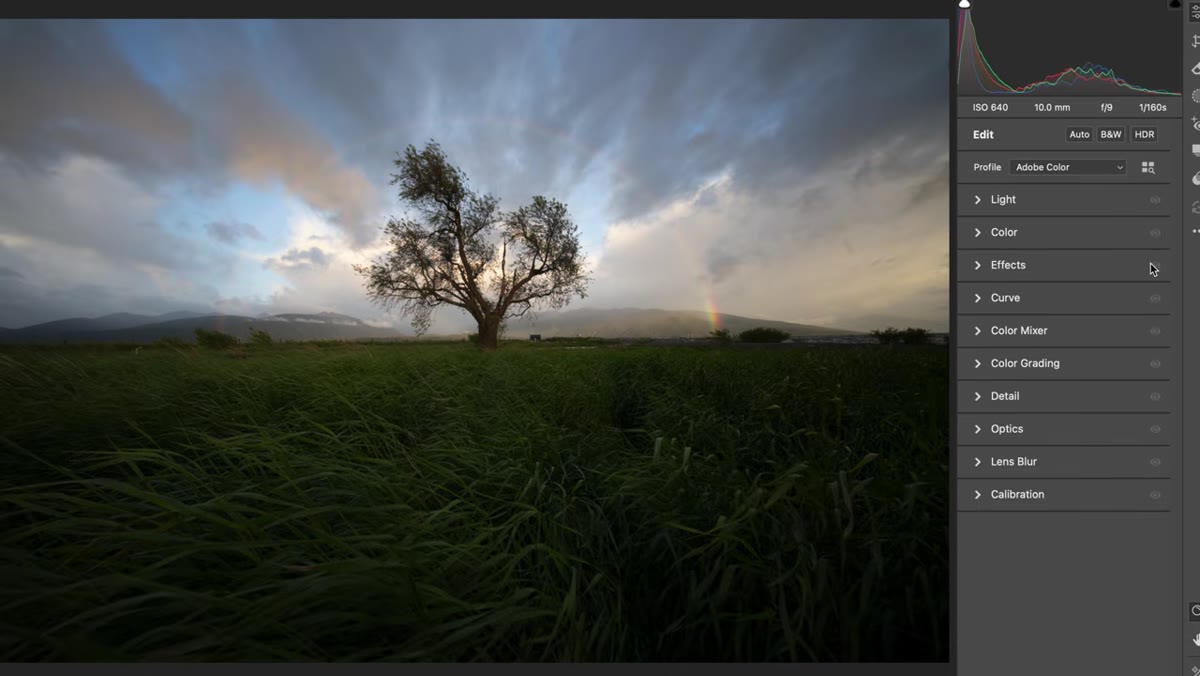 Raw unedited file open in Lightroom before any adjustments