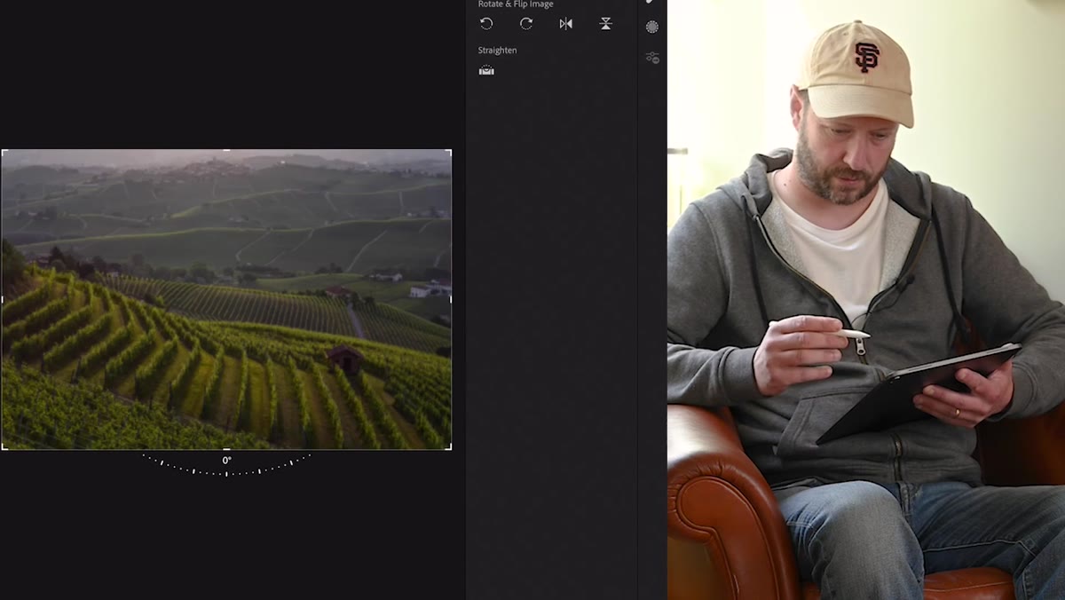 Cropping out houses on left and right edges of vineyard image