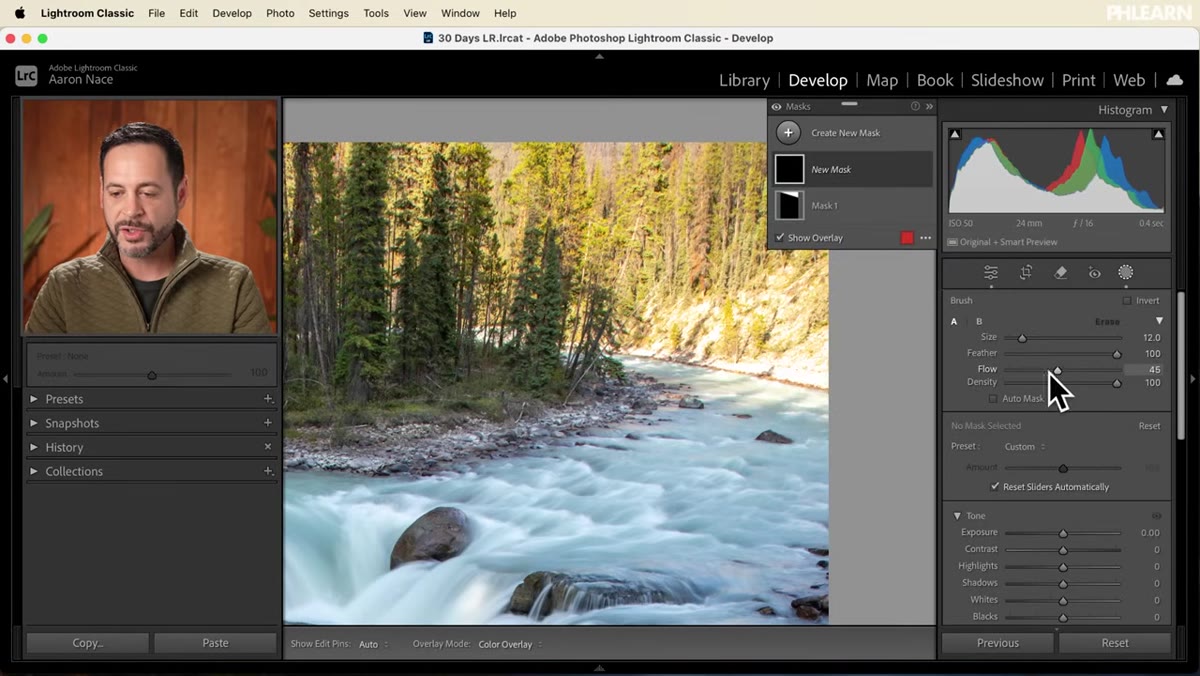Brush tool active, painting over bright shoreline area with low flow setting