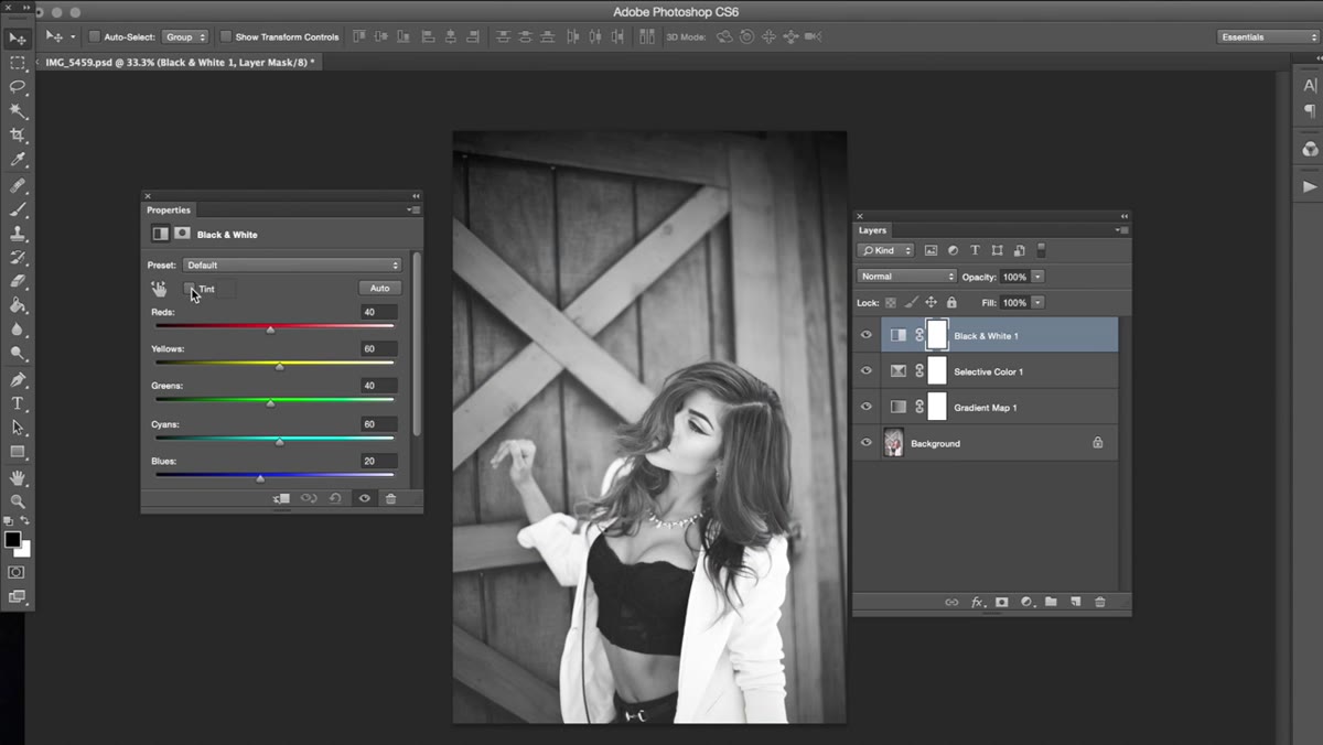 Black and White adjustment layer with Tint option checked
