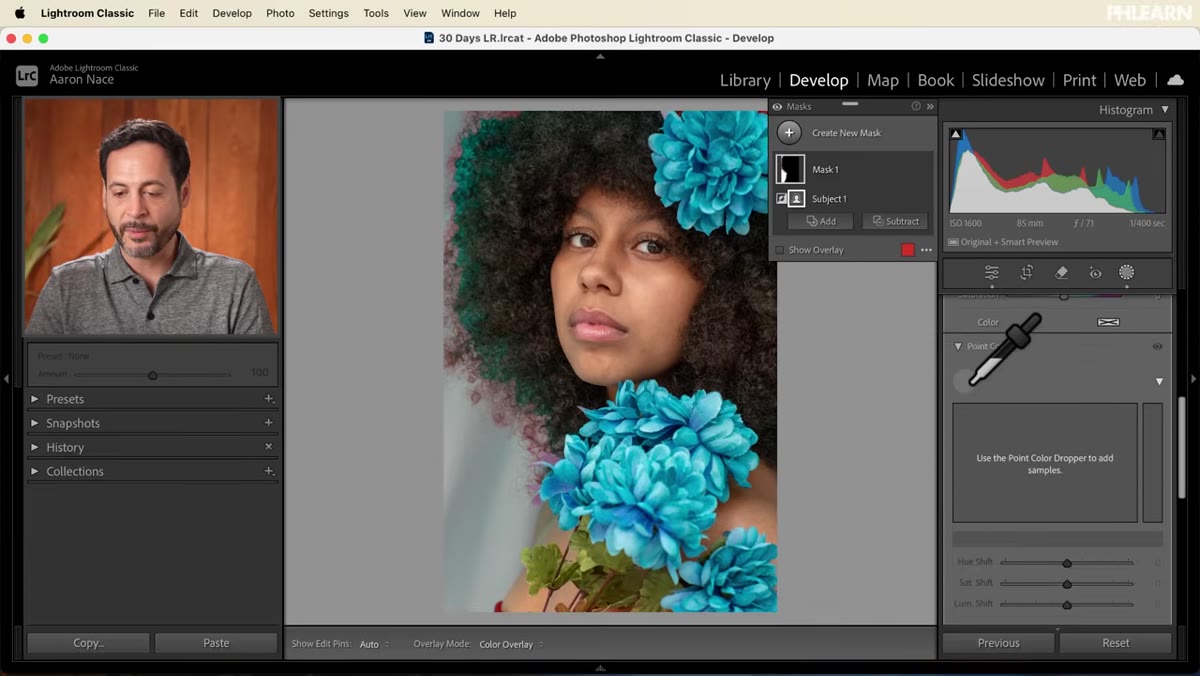 Point Color tool open inside a masked background adjustment