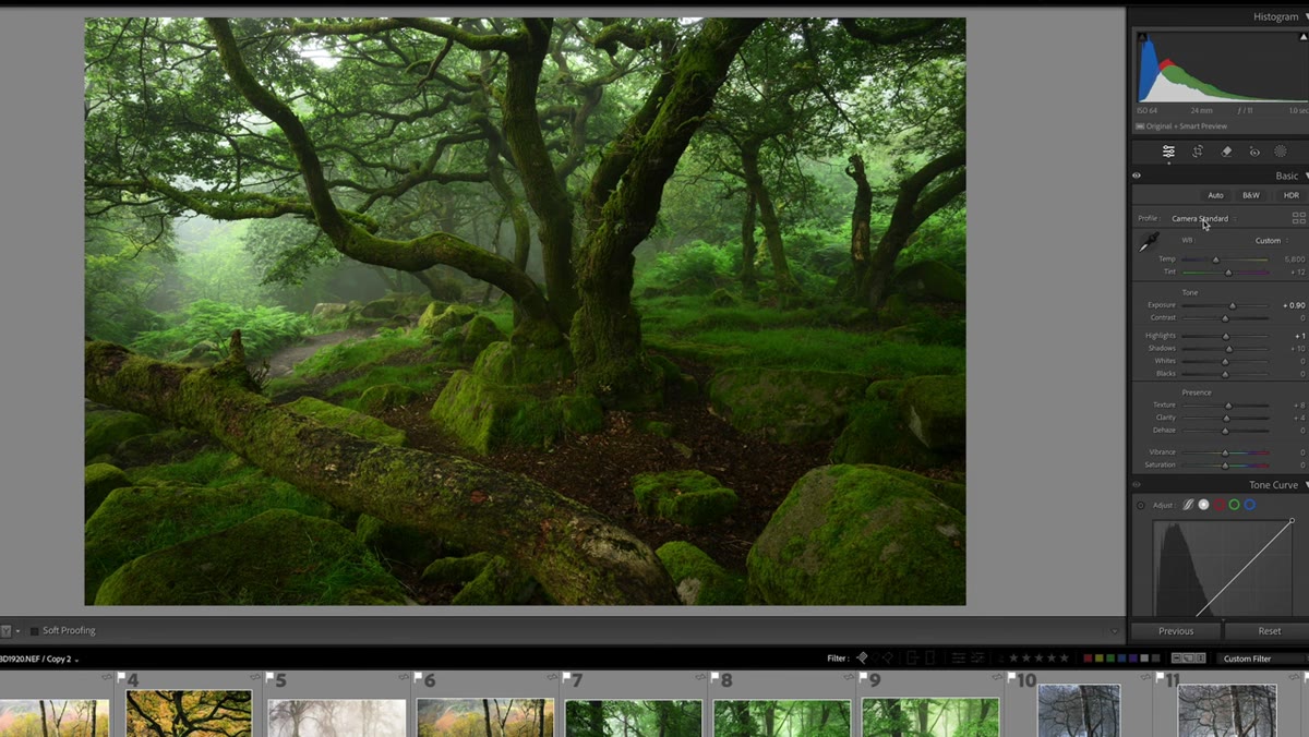 Lightroom profile dropdown open showing camera standard option