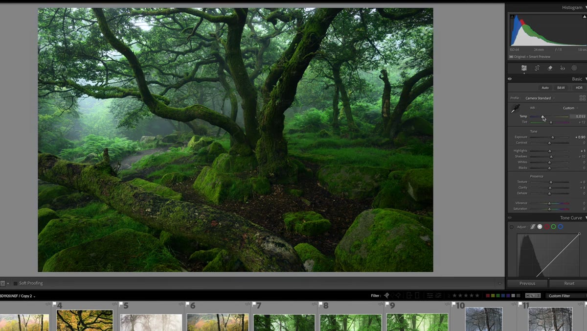 White balance and tint sliders being adjusted in Basic panel