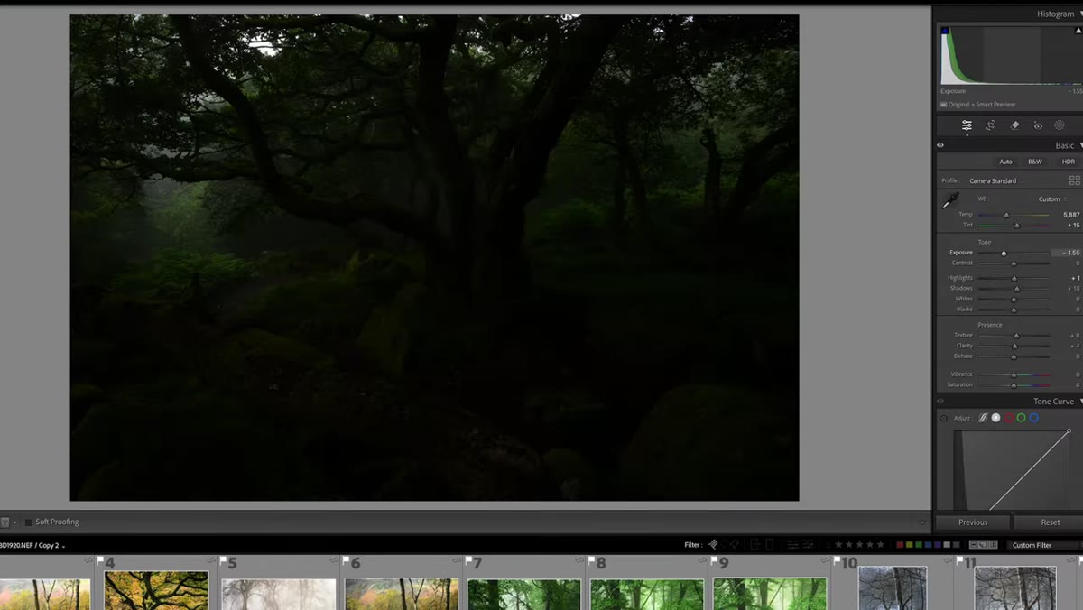 Exposure slider pulled very low revealing highlight clipping in image