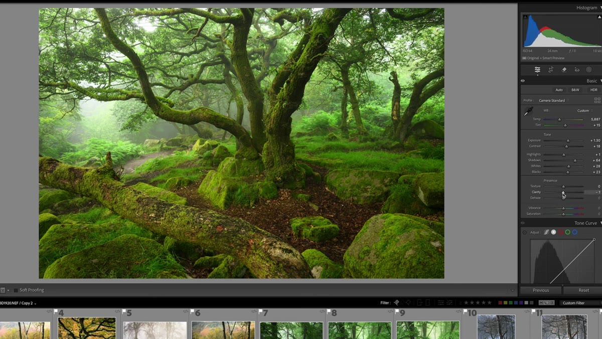 Texture and Clarity sliders both set to zero in Basic panel