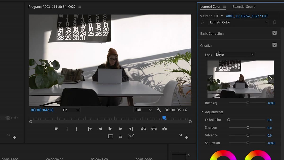 Creative tab open in Lumetri Color panel with Look dropdown selected