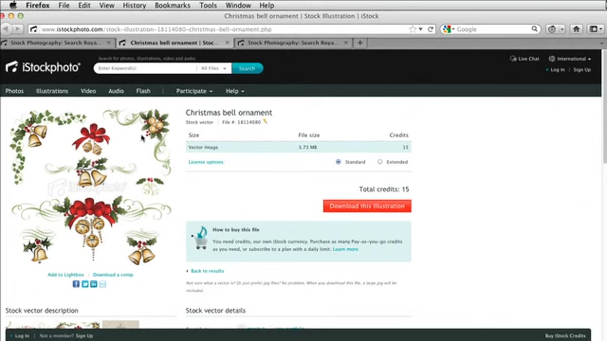 Stock graphic sheet showing corner ornaments, bows, and holly