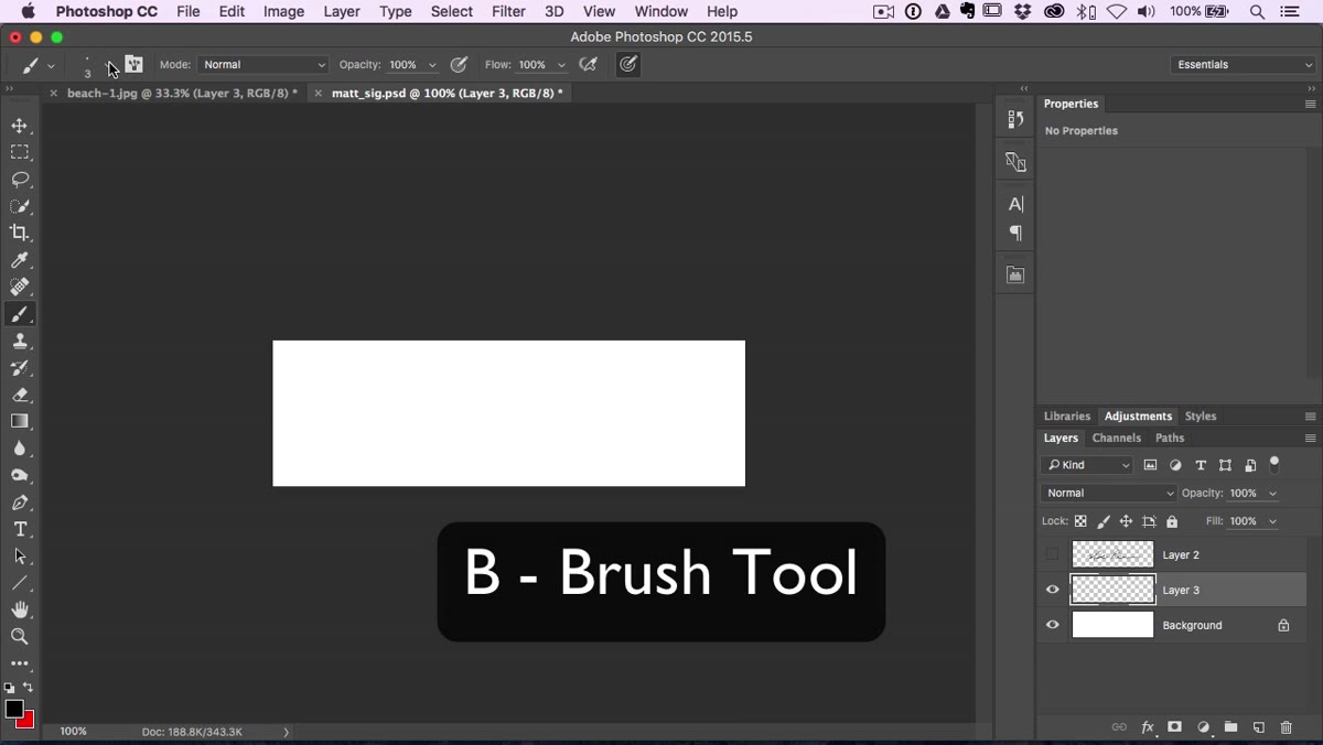 Brush settings panel showing hardness at 100 percent
