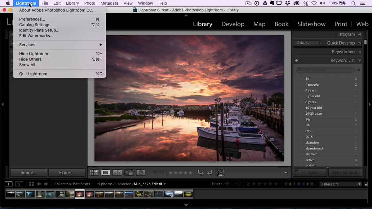 Lightroom Identity Plate Setup dialog with graphic option selected