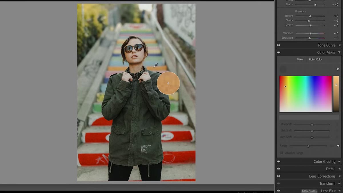Point Color eyedropper selecting a specific color in the image