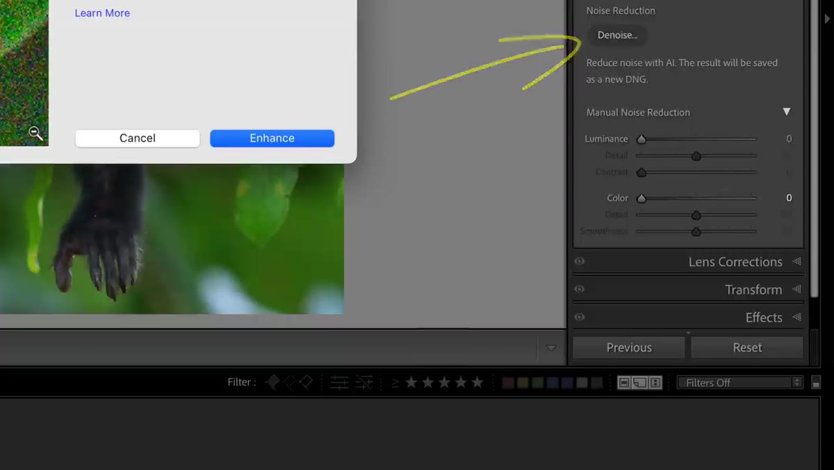 Enhanced dialog window open with Denoise slider visible