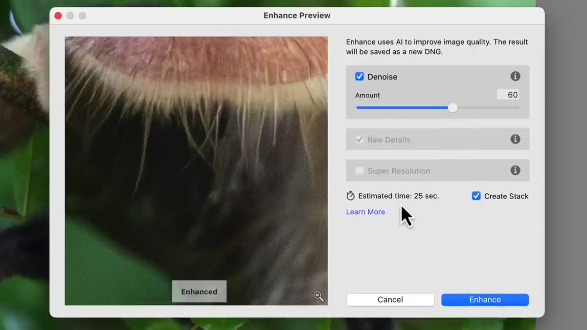 Estimated render time displayed in Enhanced dialog