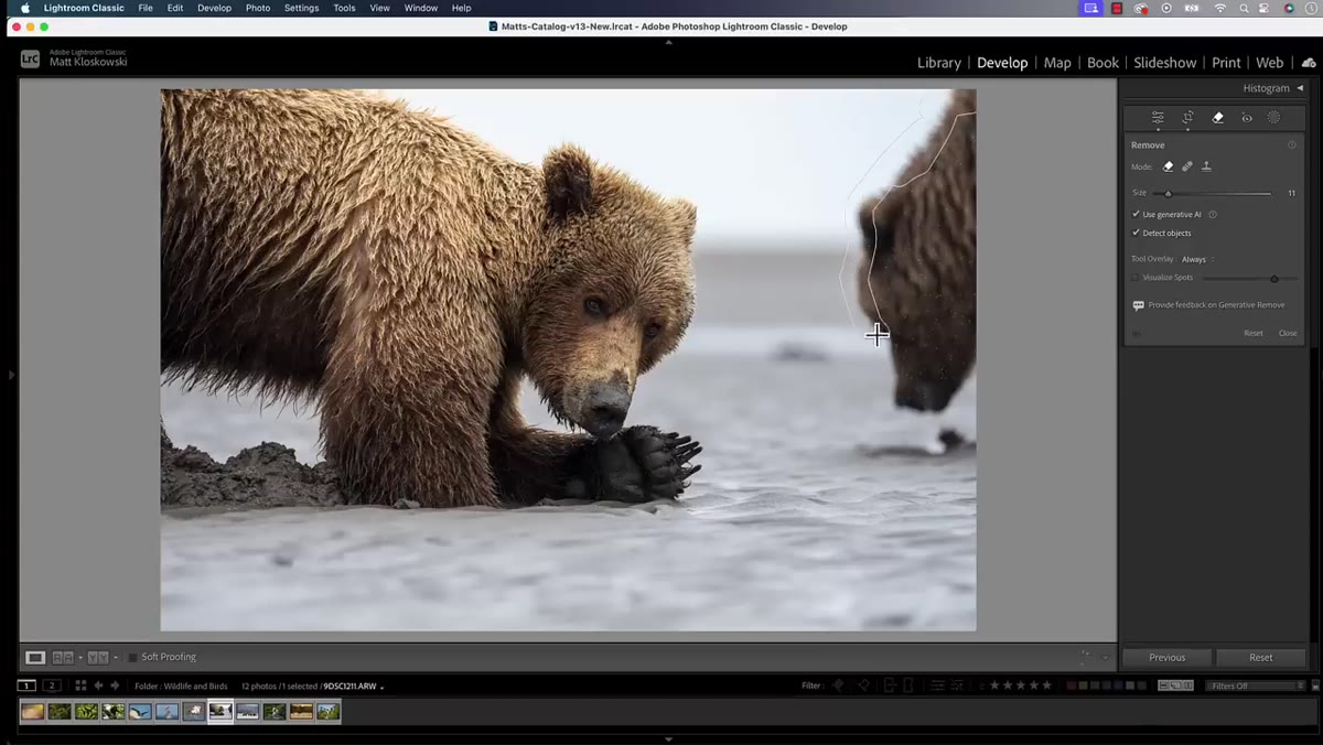 User brushing a loose outline around the subject on screen