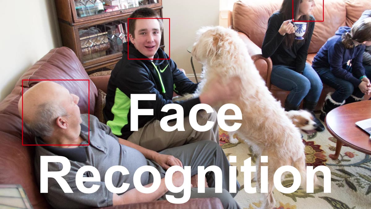 Face view mode activated in Lightroom library grid