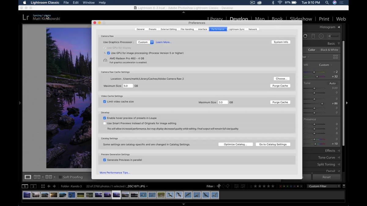 Lightroom Preferences window open to the Performance tab
