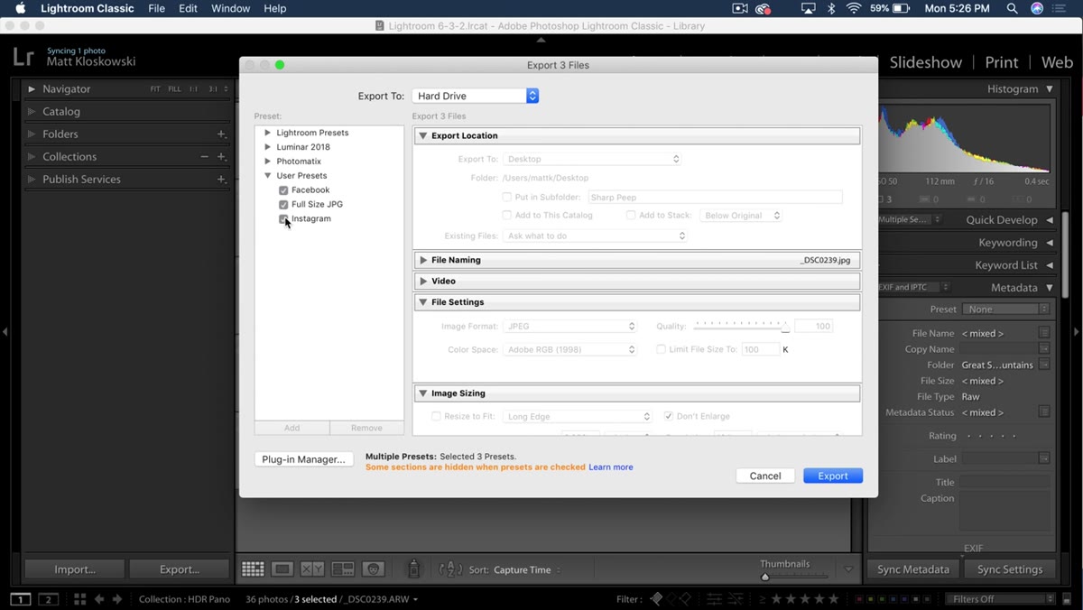 Export dialog showing multiple presets checked at once