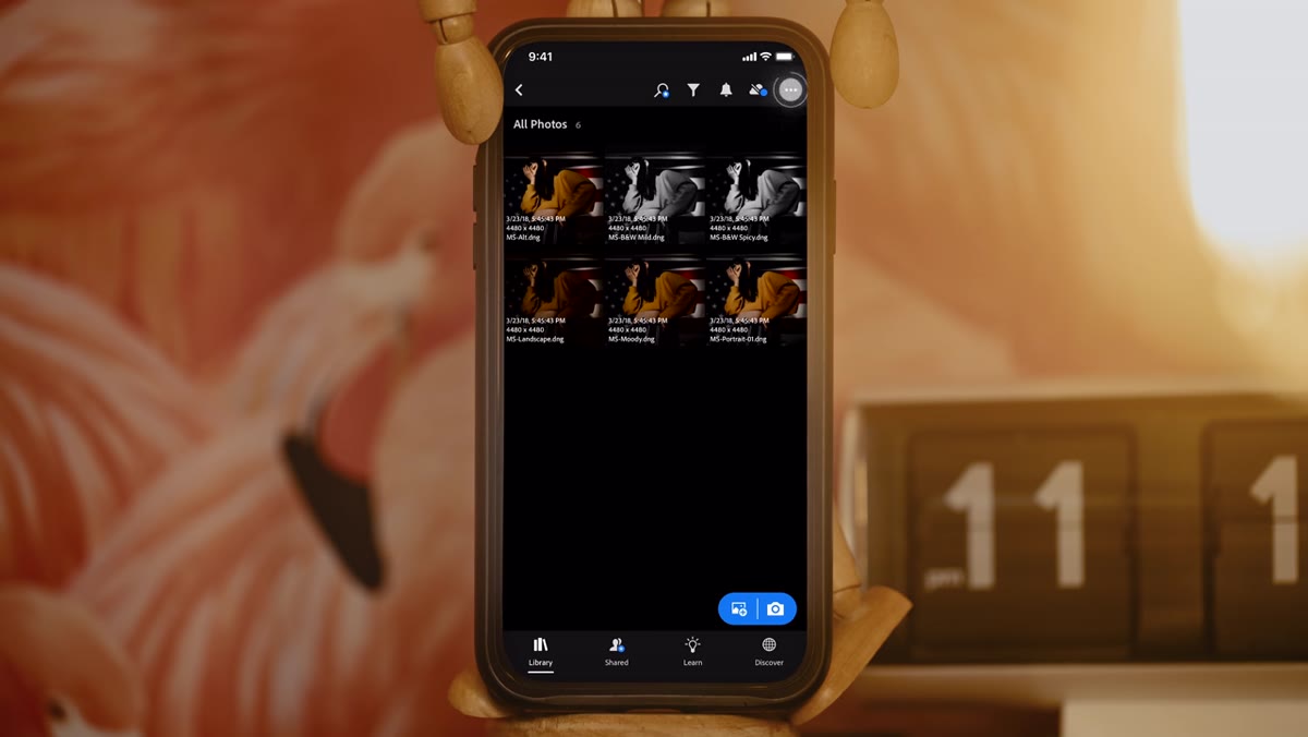 Lightroom Mobile library showing imported DNG preset files