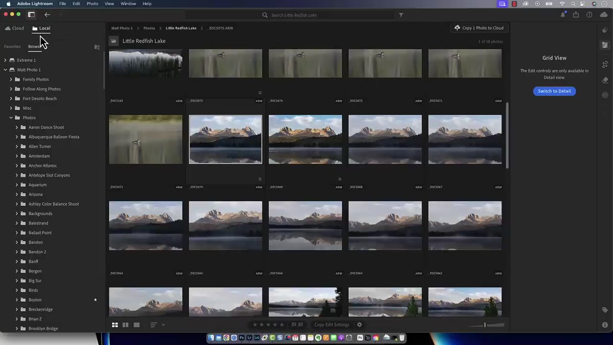 Local tab selected in Lightroom navigation panel