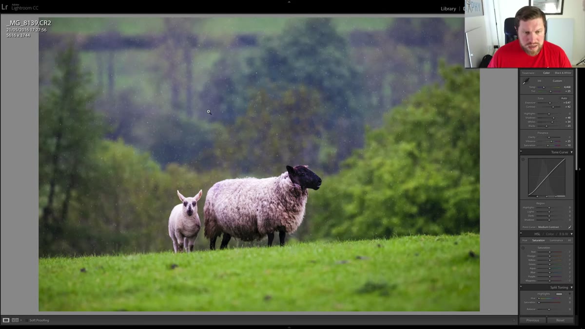 Right-click context menu open with &ldquo;Create Virtual Copy&rdquo; highlighted
