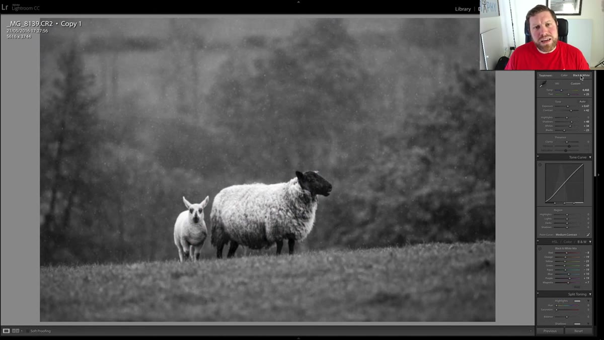 Develop module showing contrast and exposure adjustments on the B&W virtual copy
