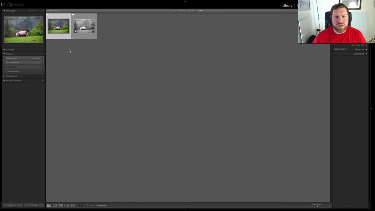 Second virtual copy being created, then reset via Develop Settings menu