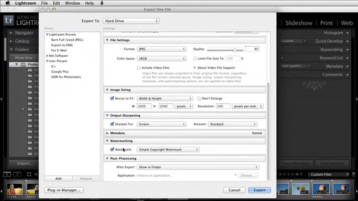 Watermark editor panel open during export dialog