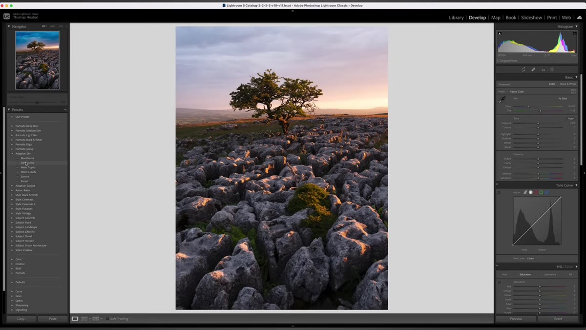 Hovering over sky preset options showing live preview on image