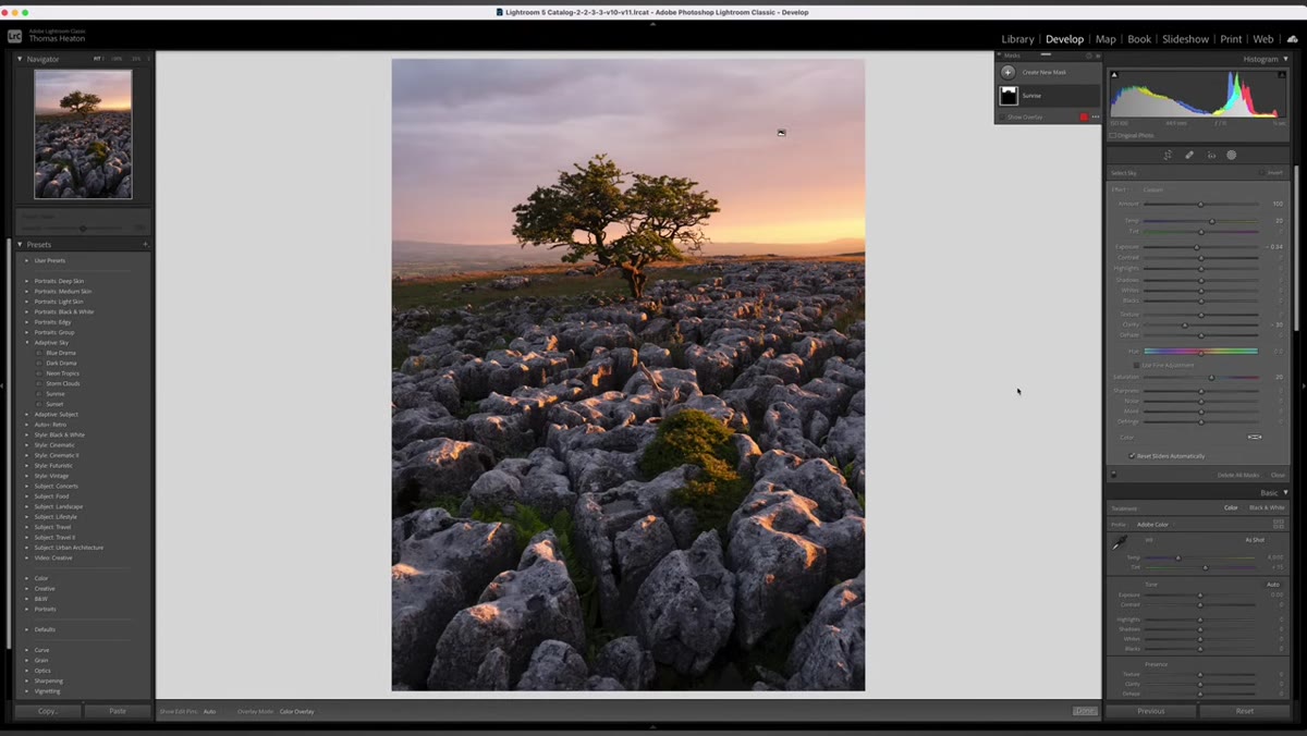 Adaptive subject preset applied to tree with visible mask overlay