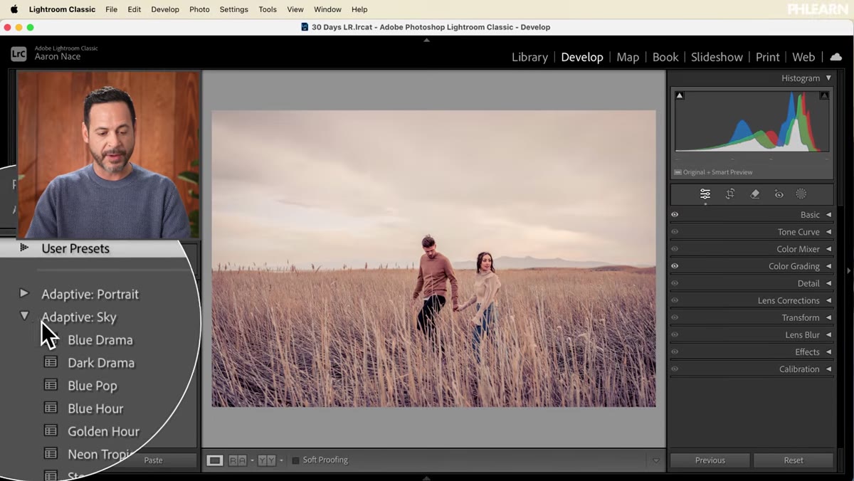 Sky preset applied to landscape image, sky visibly changed