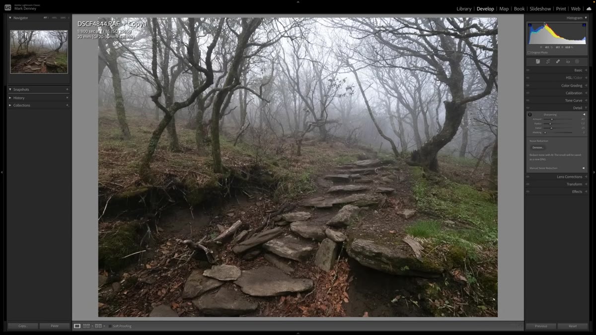 Right-click context menu showing &ldquo;Create Virtual Copy&rdquo; option in Lightroom