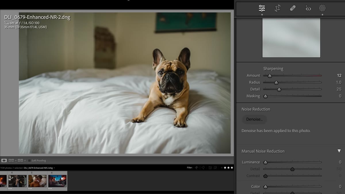 Progress bar as Lightroom generates new DNG file