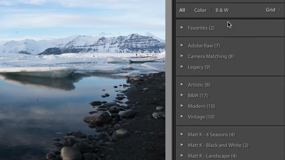 Profile browser panel open showing Adobe and camera-matching profile options