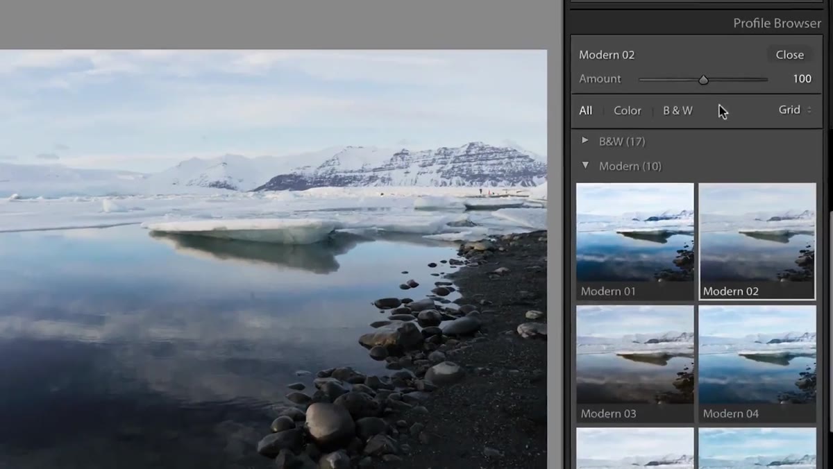 LUT-based profiles listed in browser alongside native Adobe profiles