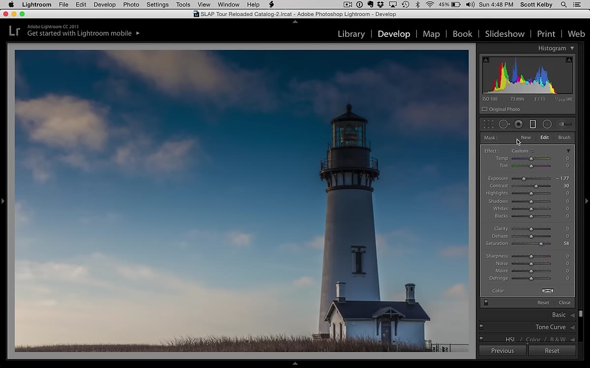 Brush option selected within the Graduated Filter panel