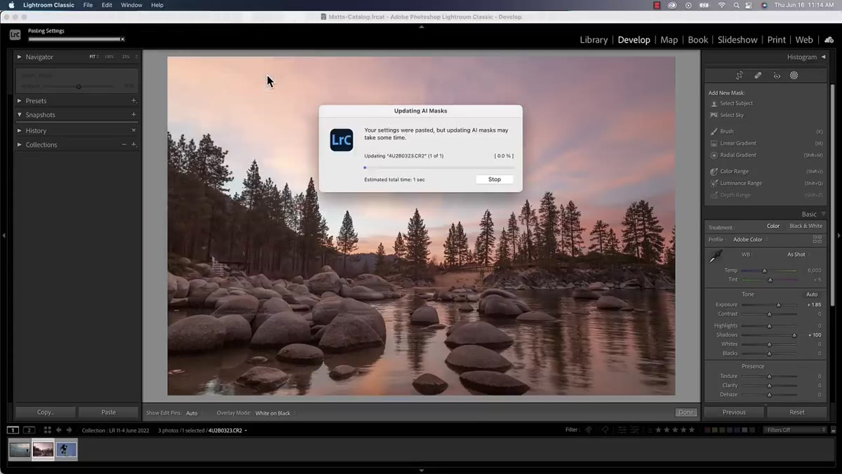 Paste Settings applied, progress window updating AI mask on new photo