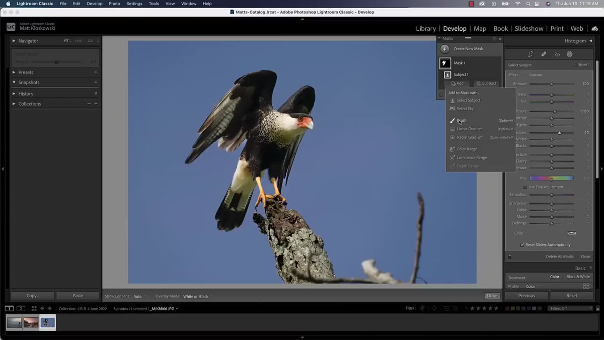 Mask panel showing sub-layers with brush addition below Select Subject