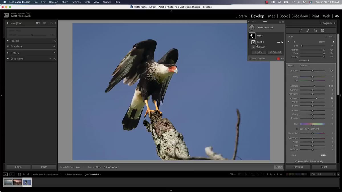 Invert toggle applied, mask now covering background instead of subject