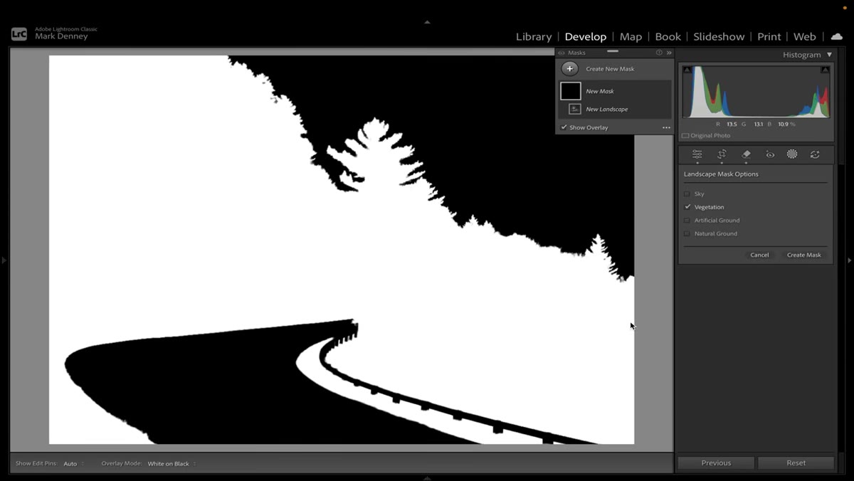 Vegetation mask selected with visible halos along tree edges