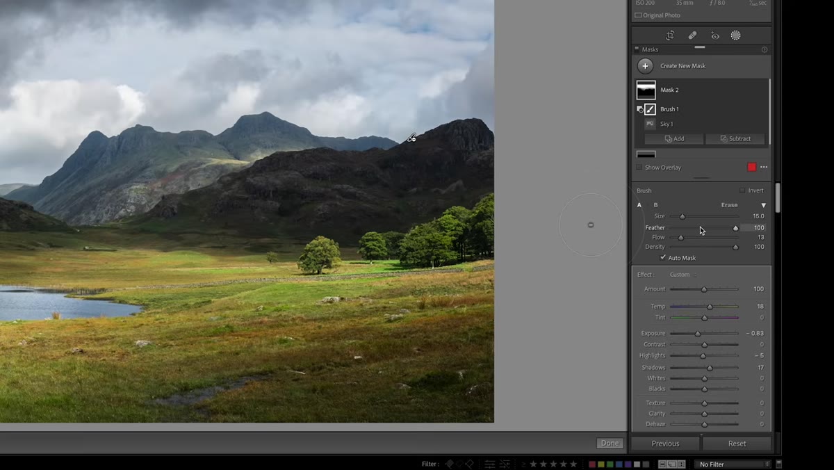 Brush settings panel showing size, feather, and flow sliders