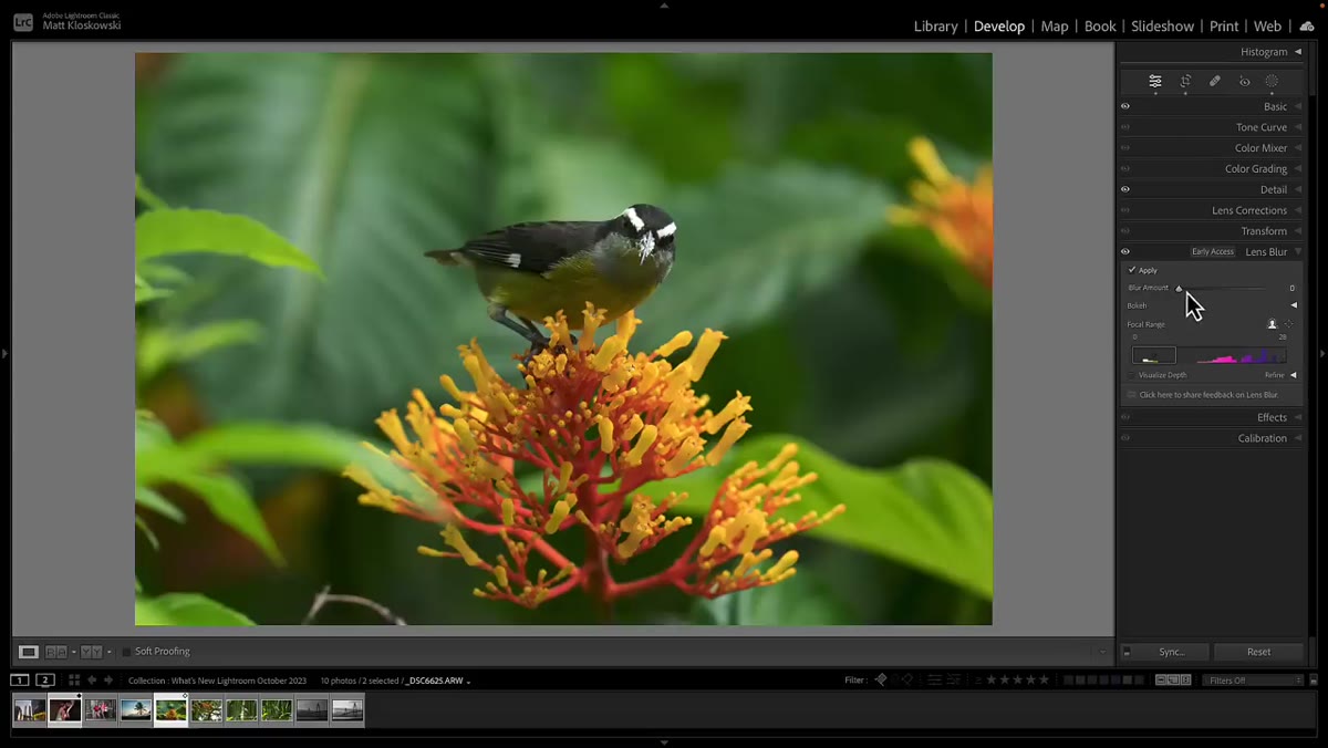 Blur amount slider being dragged with before/after visible
