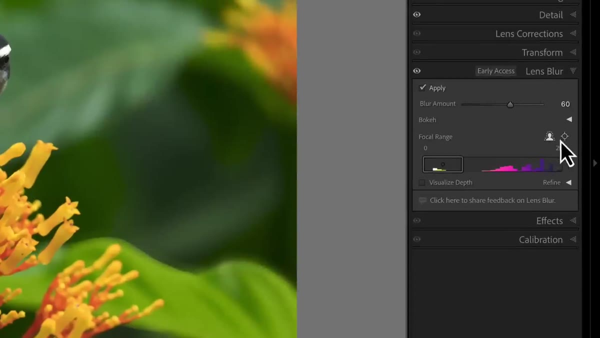 Focal range section showing Subject Focus and Point Focus toggle options